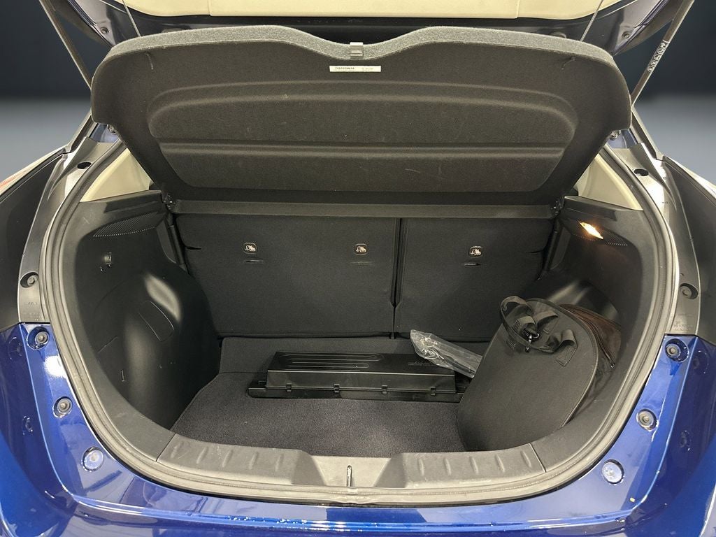 2020 Nissan Leaf SL Plus