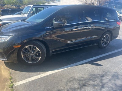 2023 Honda Odyssey Elite